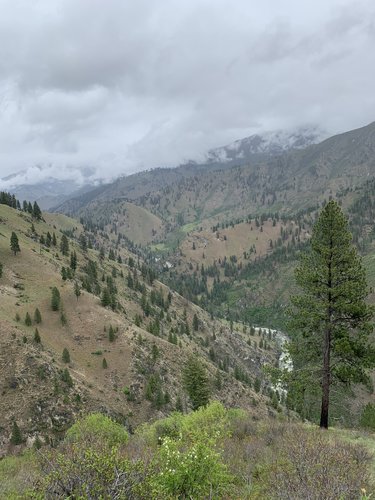 106557 106557