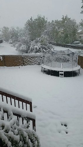 May 21.jpg