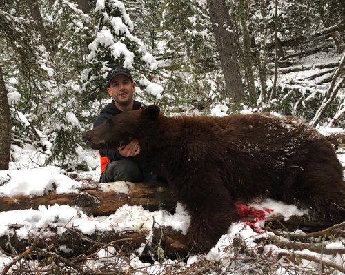 Bear 1.jpg Bear 1.jpg
