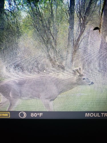20190521_183730.jpg