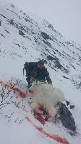 My Goat Where She Died.JPG My Goat Where She Died.JPG