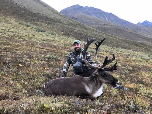 2018 Caribou.jpg 2018 Caribou.jpg