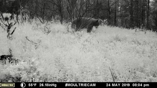 396B0899-DC7E-42C4-9052-E6CF8220EBC4.jpeg 396B0899-DC7E-42C4-9052-E6CF8220EBC4.jpeg