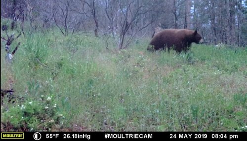 67ACD994-7B92-422A-8376-3266CA81FF38.jpeg 67ACD994-7B92-422A-8376-3266CA81FF38.jpeg