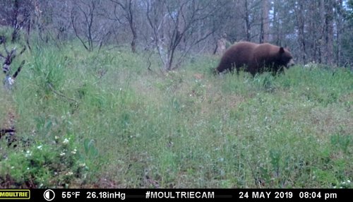 10BCE746-9092-4A15-A665-61EC7AD0EE0D.jpeg 10BCE746-9092-4A15-A665-61EC7AD0EE0D.jpeg