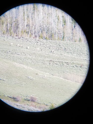 20190525_181114.jpg 20190525_181114.jpg