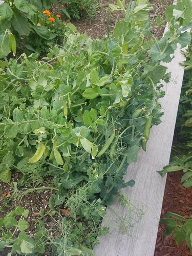 20190605_163744.jpg 20190605_163744.jpg