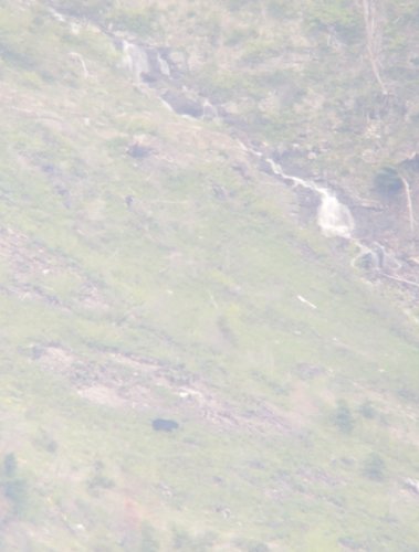 Screenshot_20190616-101045_Gallery.jpg