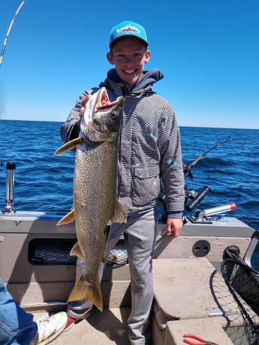 IMG_20190615_121236280_HDR.jpg IMG_20190615_121236280_HDR.jpg