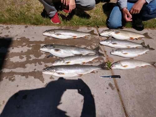 IMG_20190615_130937060_HDR.jpg IMG_20190615_130937060_HDR.jpg