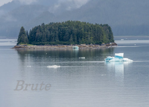 Alaska Cruise June 2019   a-7504.JPG