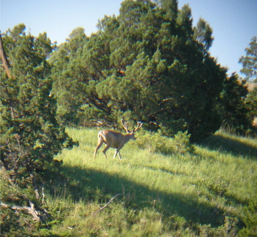 Scouting 2010 (43).jpg Scouting 2010 (43).jpg
