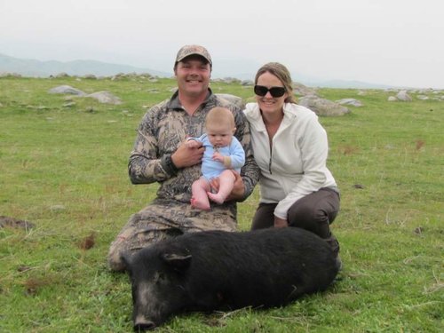 family pig.jpg