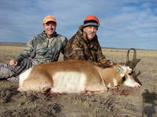 Pronghorn.jpg