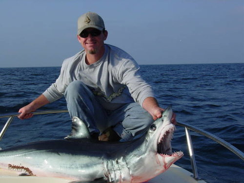 brent mako.jpg
