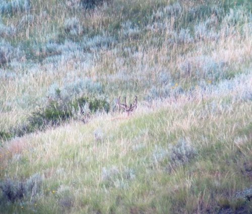 IMG_0208.jpg IMG_0208.jpg