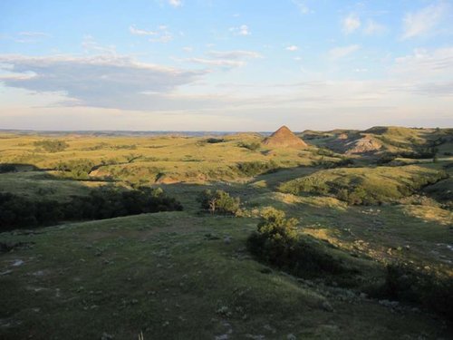 IMG_0209.jpg IMG_0209.jpg