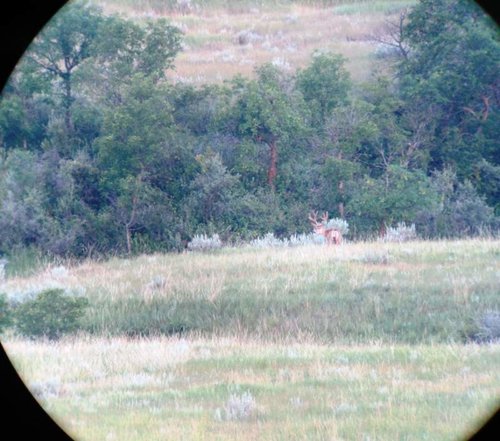 IMG_0214.jpg IMG_0214.jpg