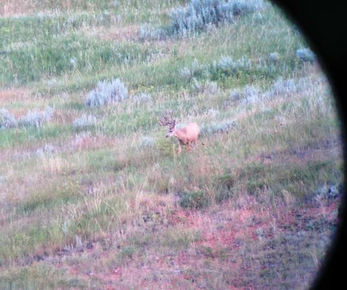 IMG_0218.jpg IMG_0218.jpg