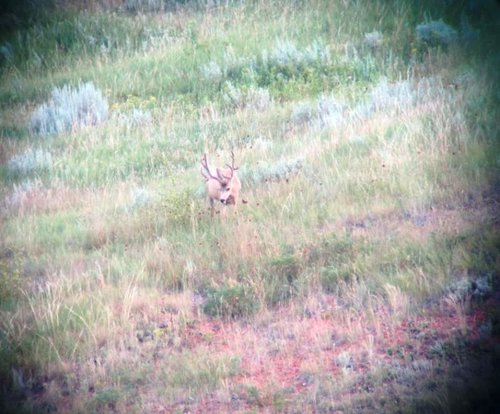 IMG_0221.jpg IMG_0221.jpg