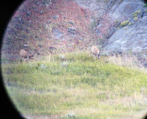 IMG_0224.jpg IMG_0224.jpg