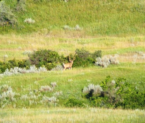 IMG_0225.jpg IMG_0225.jpg