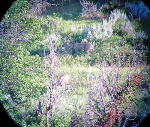 IMG_0230.jpg IMG_0230.jpg