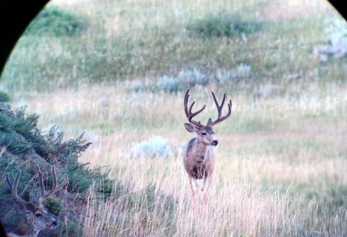 IMG_0234.jpg IMG_0234.jpg