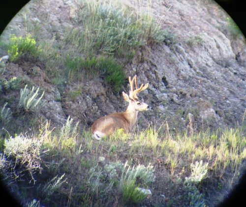 IMG_0237.jpg IMG_0237.jpg