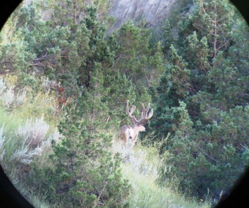 IMG_0243.jpg IMG_0243.jpg