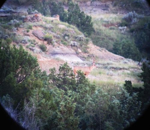 IMG_0249.jpg IMG_0249.jpg