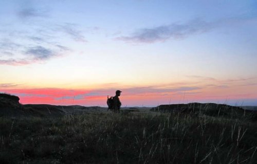 IMG_0251.jpg IMG_0251.jpg