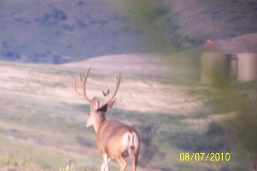 100_1575.jpg 100_1575.jpg