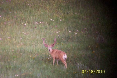 100_1536.jpg 100_1536.jpg