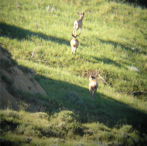 Scouting 2010 (40).jpg Scouting 2010 (40).jpg