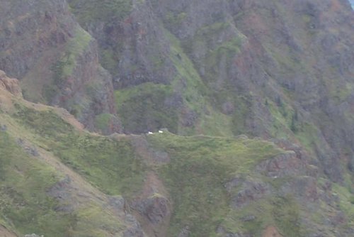 100_2147.jpg 100_2147.jpg