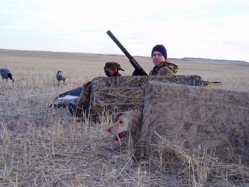 07 geese 025.jpg