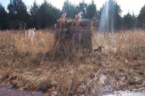 Copy of duck hunting nov 05 027.jpg