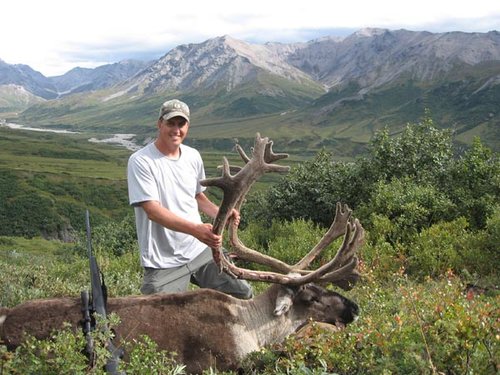 caribou2010.jpg