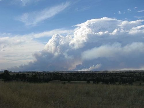wildland fire   21 August.jpg