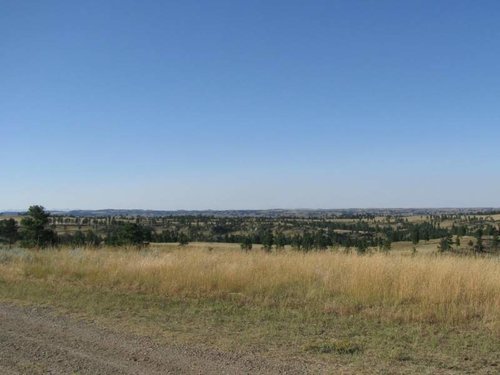 wildland fire  24 August.jpg