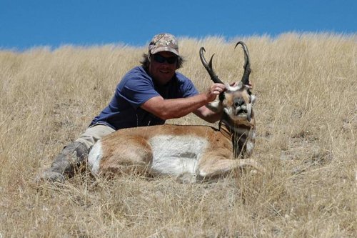 antelope 2.jpg