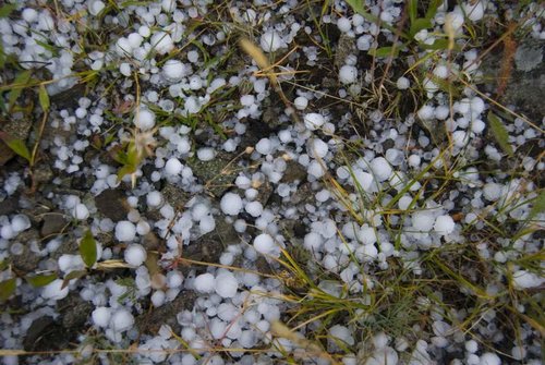 crazyhail.jpg