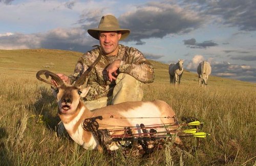 Antelope 2010.jpg Antelope 2010.jpg