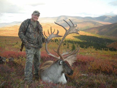 alaska2011caribou 070.jpg