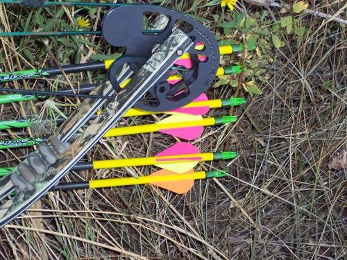 Quiver.jpg Quiver.jpg