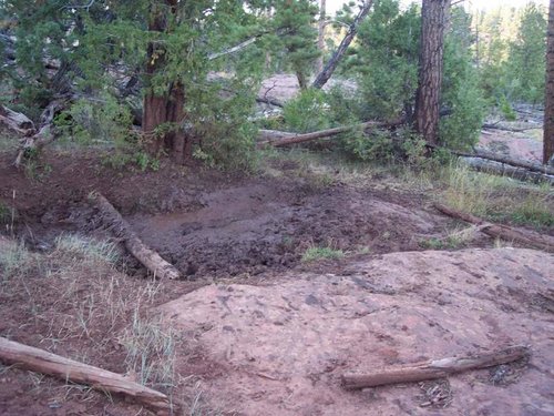 Wallow.jpg Wallow.jpg