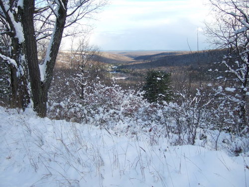 DSCF0957.JPG