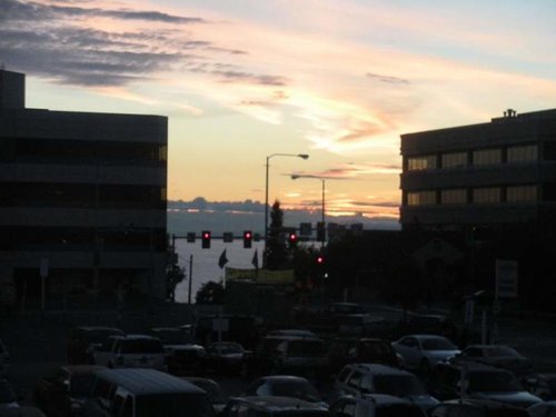 alaska2011caribou 1ht.jpg