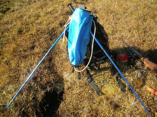 alaska2011caribou 5ht.jpg